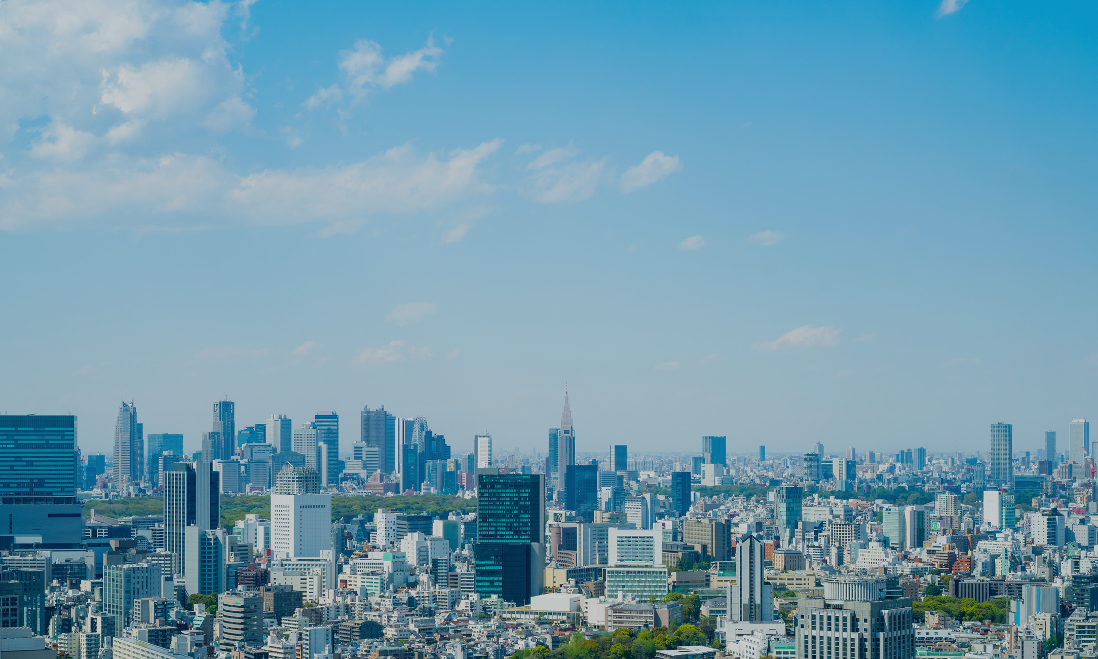 会社情報